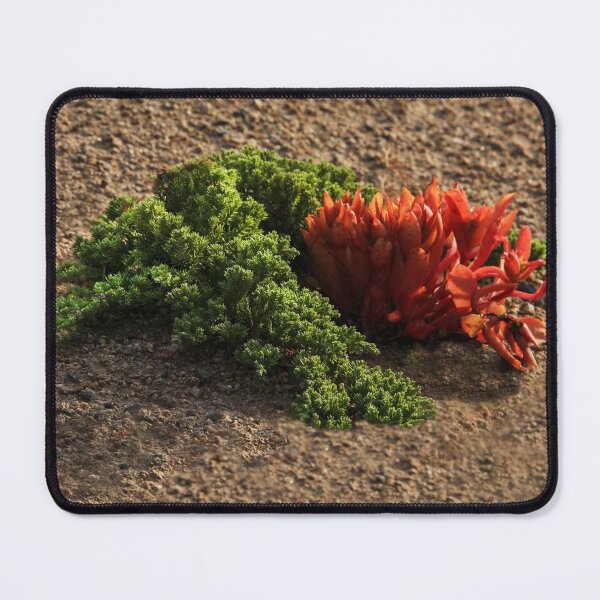 Item preview, Mother Nature's Art designed and sold by heatherfriedman.