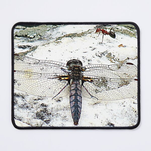 Item preview, An Encounter On White Quartz designed and sold by Jean Gregory Evans.