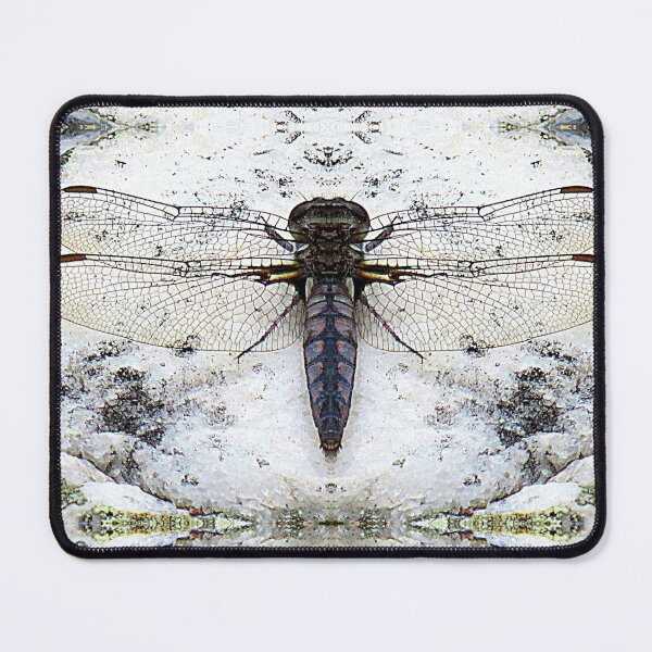 Item preview, Clear Winged Dragonfly designed and sold by Jean Gregory Evans.