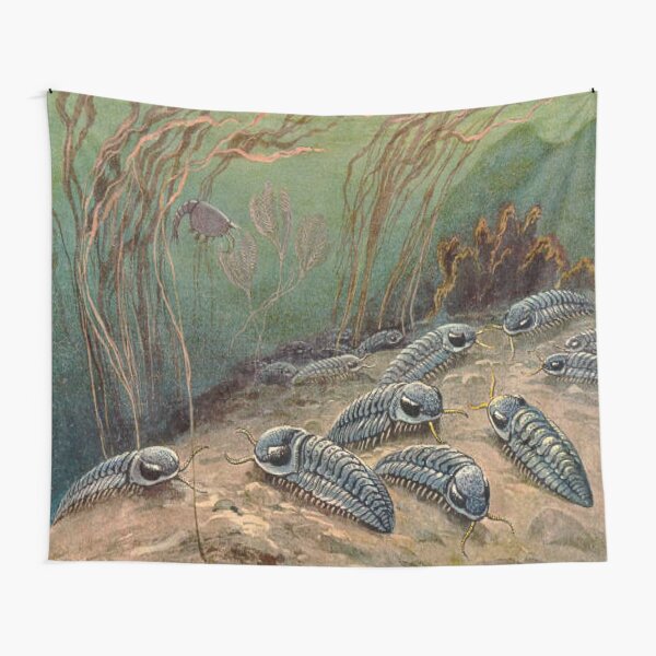 TRILOBITES MARINE DINOSAUR RETRO VINTAGE Tapestry