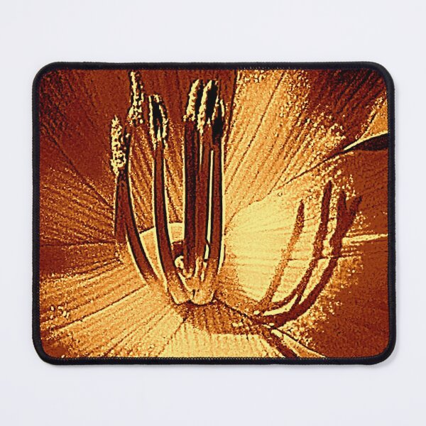 Item preview, Universal designed and sold by Jean Gregory Evans.