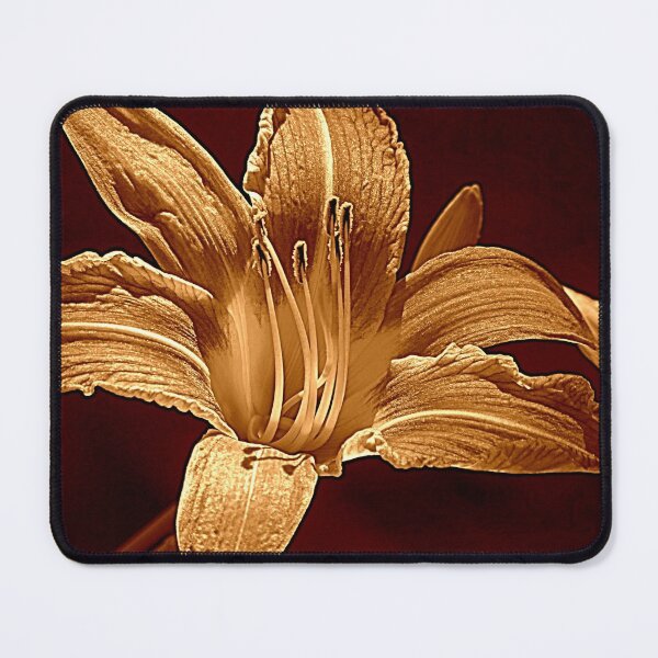 Item preview, Understood designed and sold by Jean Gregory Evans.