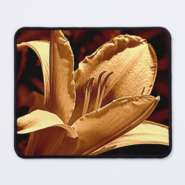 Item preview, Everyday designed and sold by Jean Gregory Evans.