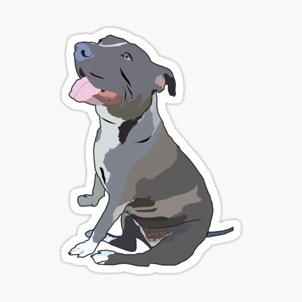 Beware Protected by Pit Bull Terrier with Attitude - Blue Nose SLAP-STICKZ(TM)  Automotive Car Window Locker Bumper Sticker 