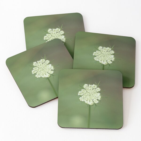 Item preview, Wild Carrot Flower designed and sold by LisaNaturePhoto.
