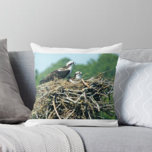 Item preview.