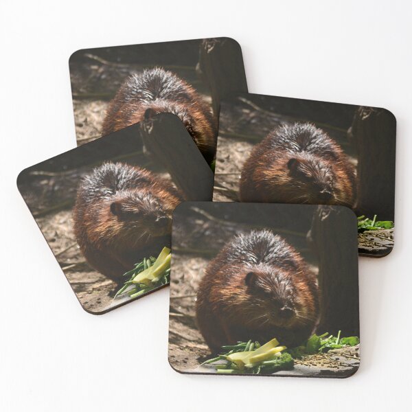 Item preview, Beaver meal Time designed and sold by enchantedvibes.
