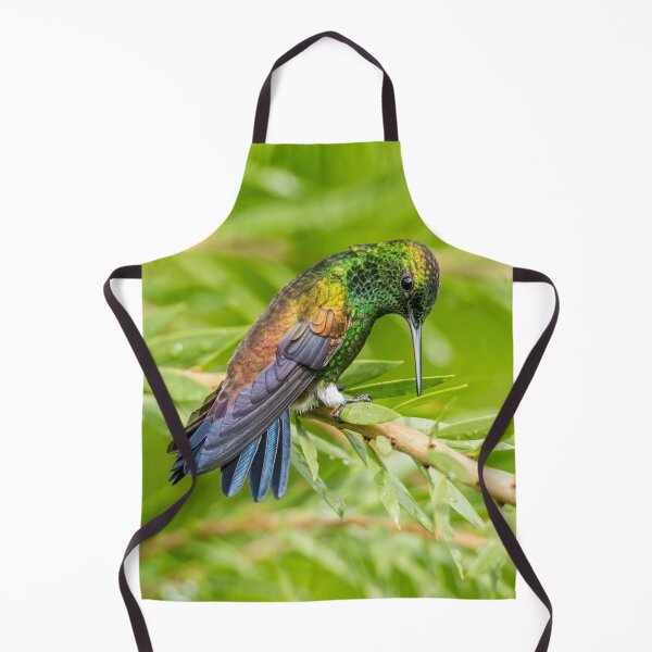 Item preview, Serenity - Copper rumped hummingbird designed and sold by Rachel Lee Young - Land of the Hummingbird.