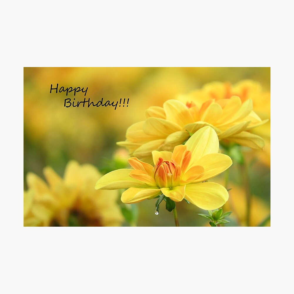 Carte De Vœux Joyeux Anniversaire Fleurs Par Shesnuckinfuts Redbubble