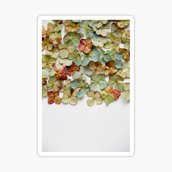 Item preview, Hydrangea Petals no. 1 designed and sold by RiotJane.