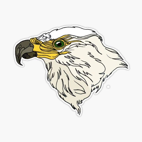 eagle hunting fish Sticker for Sale by bhanu03