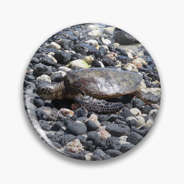 Item preview, Hawaiian Sea Turtle Photography designed and sold by MarisaMikayla.