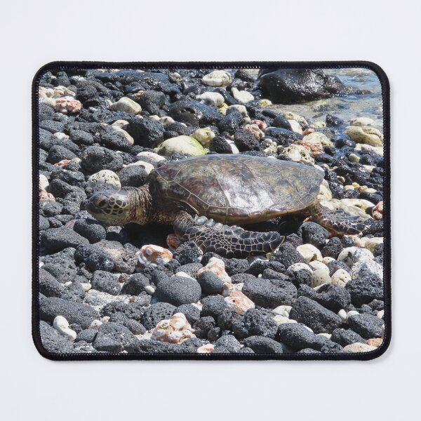 Item preview, Hawaiian Sea Turtle Photography designed and sold by MarisaMikayla.