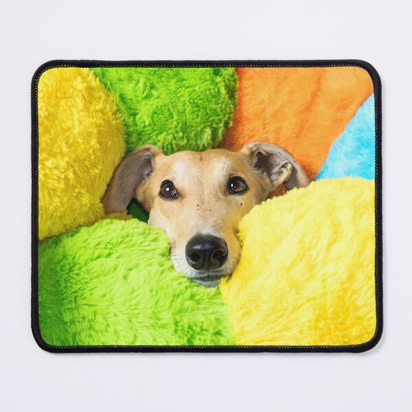 Item preview, Greyhound with cuddlepillar toy designed and sold by houndpixnz.