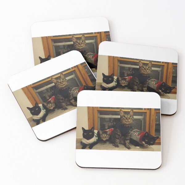 Cats Xmas Coasters (Set of 4)