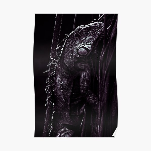 Black Ctenosaur Poster