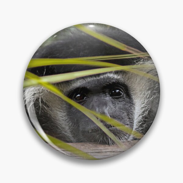 Item preview, Bright Eyes the Peeping Monkey designed and sold by KbytesOfJax Outdoor and Nature.