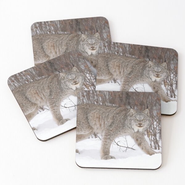 Item preview, Canada Lynx designed and sold by mlorenz.