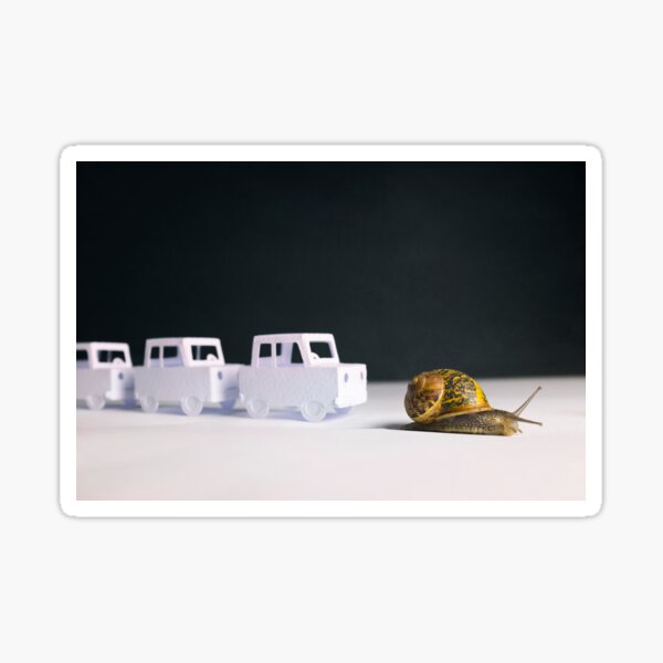 Travelling at a snails pace... Sticker