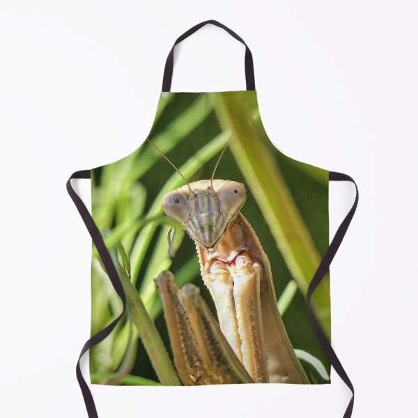 Item preview, Praying Mantis designed and sold by Frankie Cat Photography.