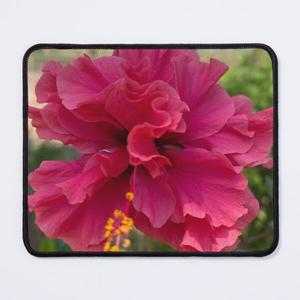 Item preview, Hibiscus designed and sold by fiveacrefamily.