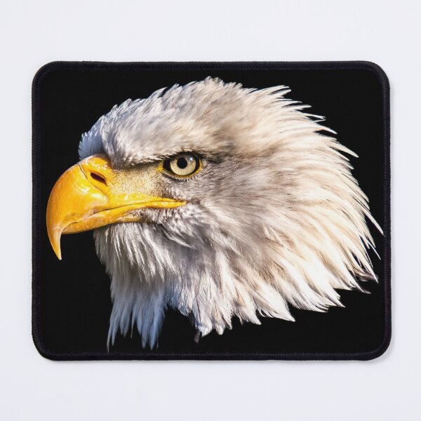 Item preview, Bald eagle head - eagle art designed and sold by AlexSin.