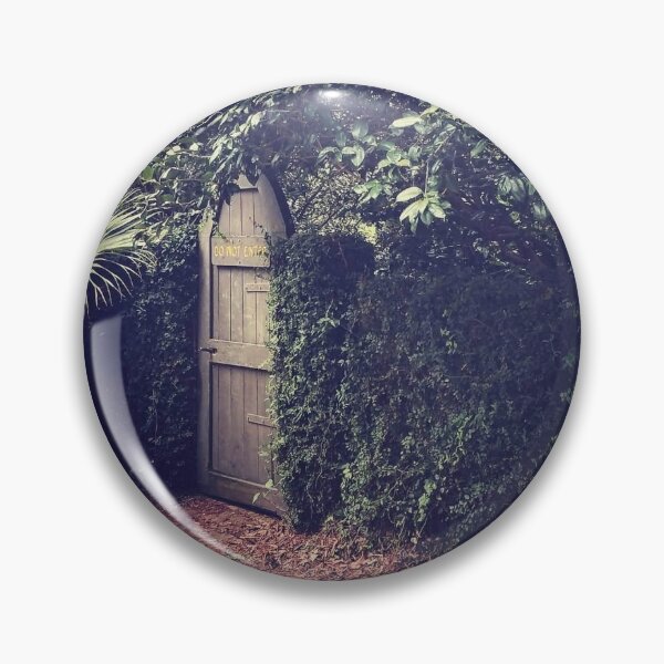 Secret Door Pin