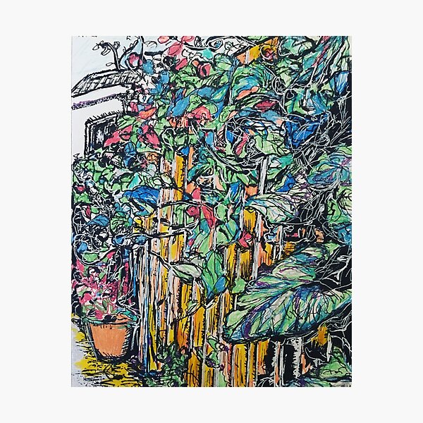 Garden fence Photographic Print