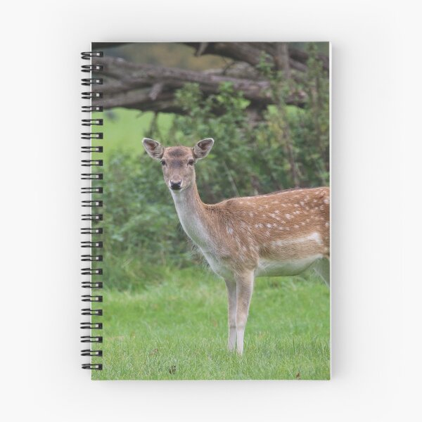 Item preview, Innocent look designed and sold by RosaMarieAshby.