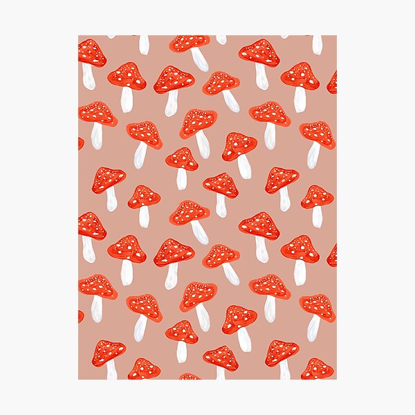 Mushrooms Dance Photographic Print