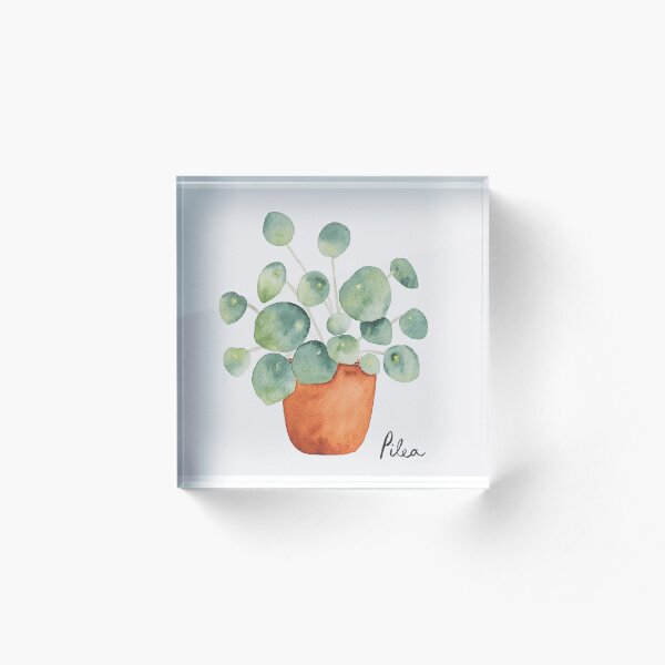 Item preview, Mini Pilea Watercolor painting designed and sold by mhailittlearts.