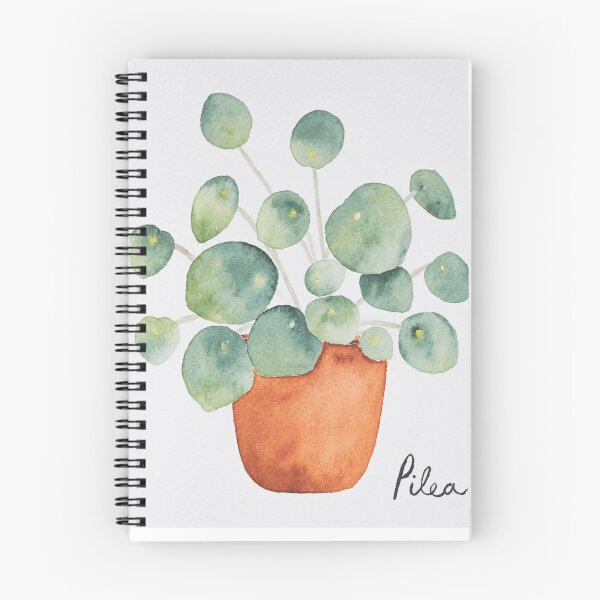 Item preview, Mini Pilea Watercolor painting designed and sold by mhailittlearts.