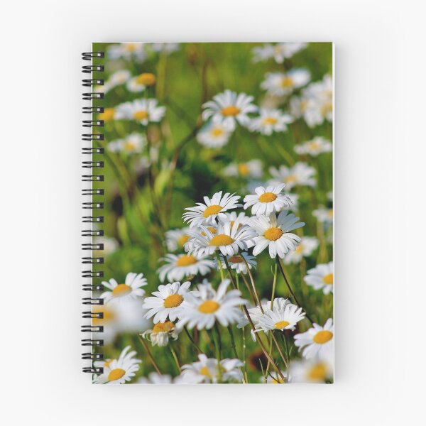 Item preview, Ox-eye Daisy II designed and sold by Kathleen Daley.