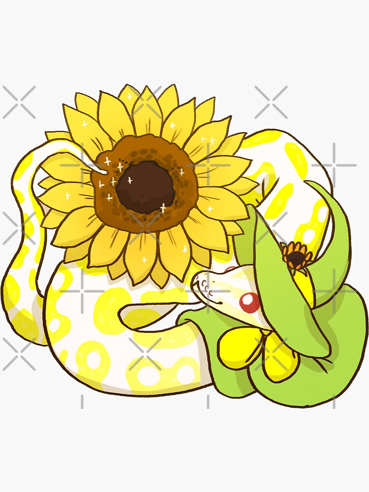 Regalos y productos: Girasol Albino | Redbubble