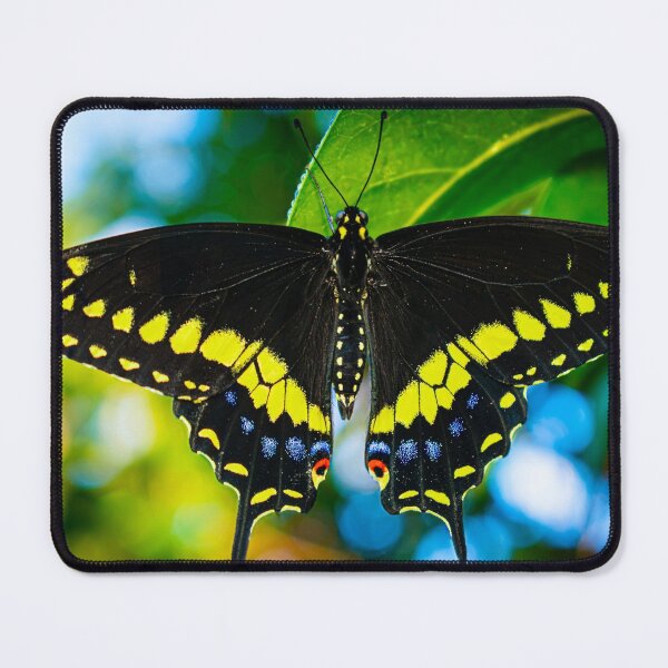 Item preview, Black swallow tail designed and sold by R-York.