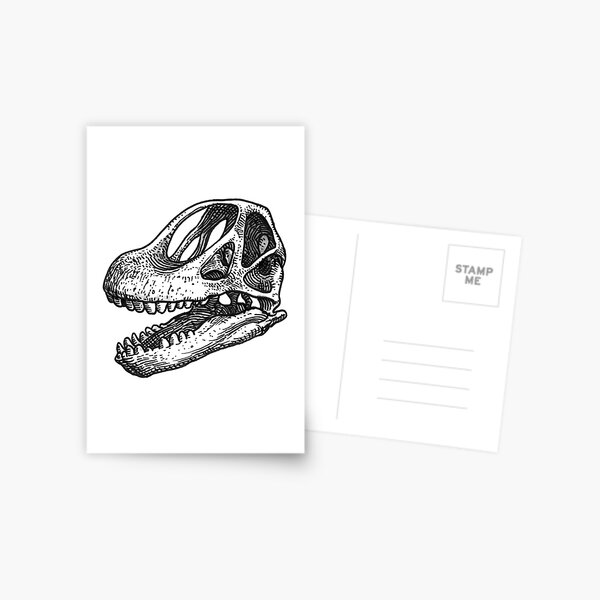 Camarasaurus Postcard