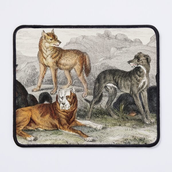 Item preview, Dogs & Wolves - by Oliver Goldsmith 1820 designed and sold by Freewheeling.