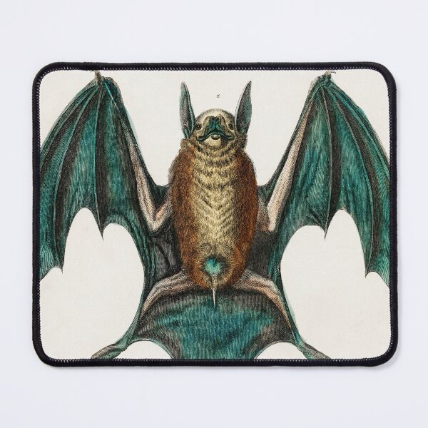 Item preview, Natural History Poster - Bats by Oliver Goldsmith designed and sold by Freewheeling.