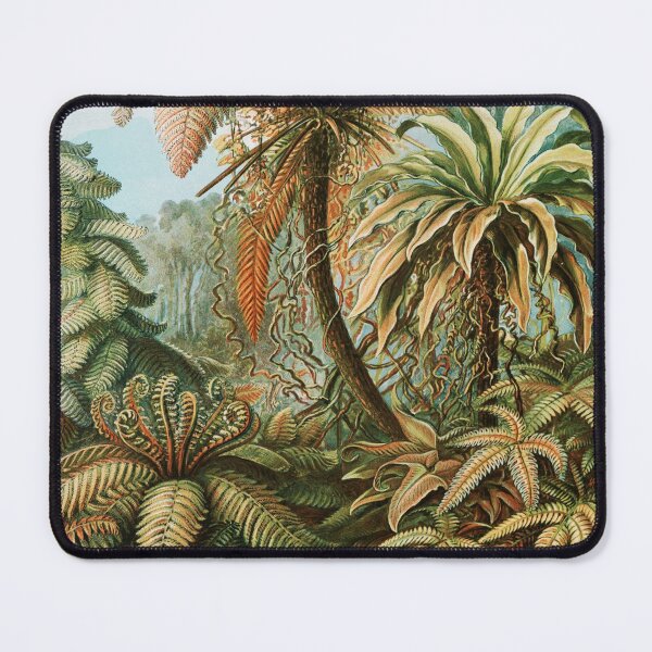 Artikelvorschau, Kunstformen in der Natur - Filicinae - Laubfarne von Ernst Haeckel entworfen und verkauft von Freewheeling.