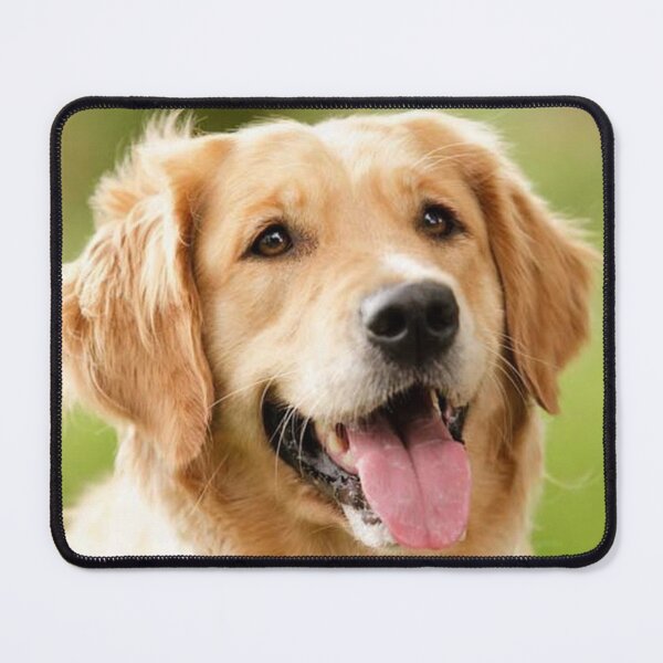 Item preview, GOLDEN RETRIVER designed and sold by michaeltodd.