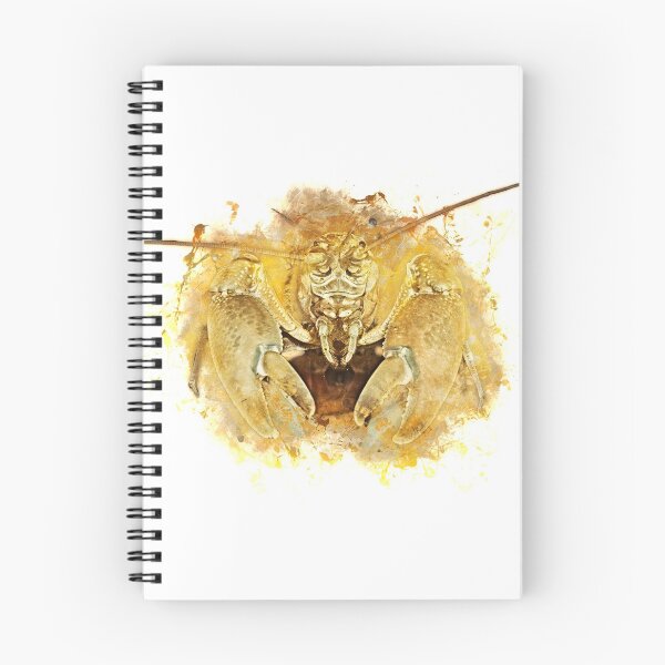Item preview, Apricot shrimp - Cherax holthuisi apricot designed and sold by AquariumLutter.