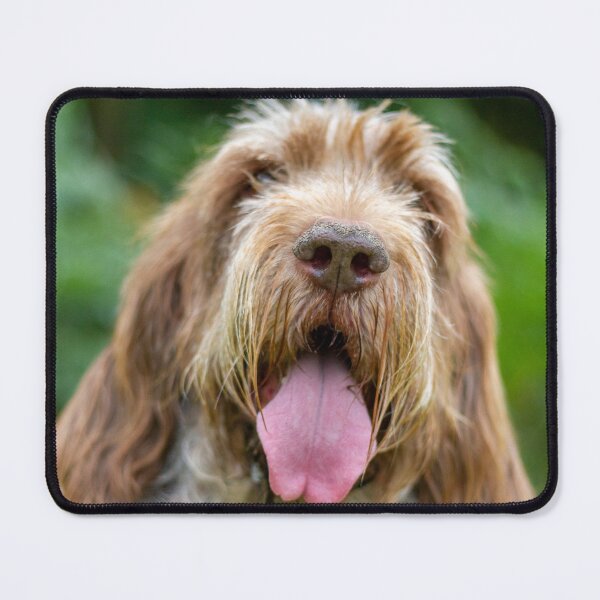 Happy Panting Spinone Mouse Pad