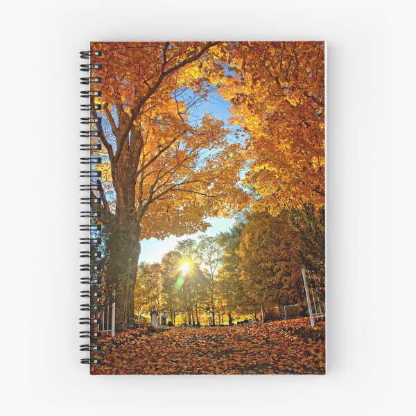Item preview, Autumn Gated designed and sold by Catherine Melvin.