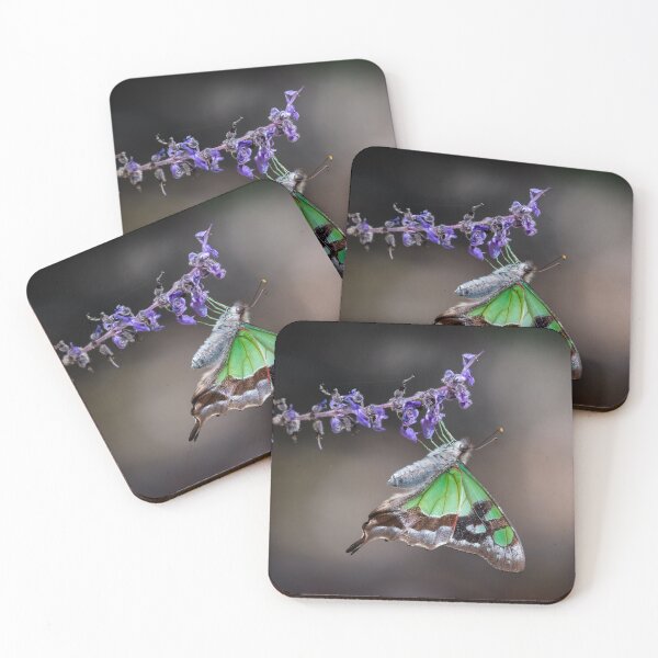 Item preview, Macleay Swallowtail butterfly.  designed and sold by DaveBassett.