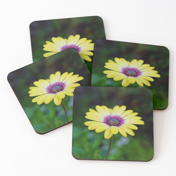 Item preview, Yellow shrubby daisybush flower macro photo designed and sold by hendrikspix.