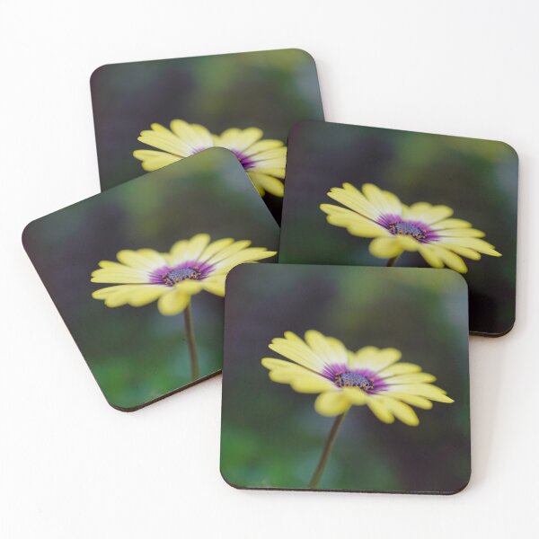 Item preview, Yellow shrubby daisybush flower macro photo designed and sold by hendrikspix.