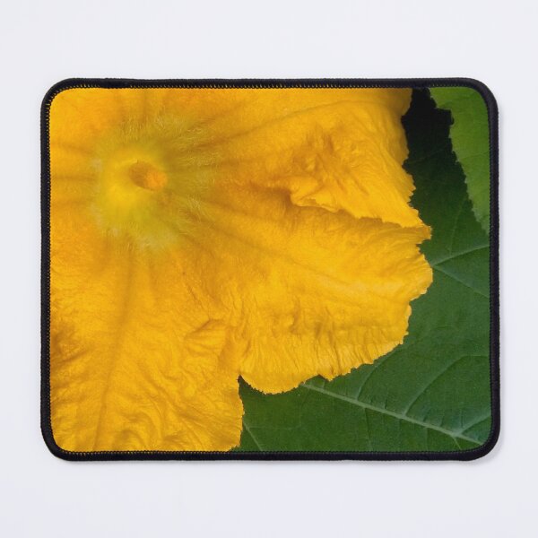 Item preview, Pumpkin Blossom designed and sold by hajarsdeco.
