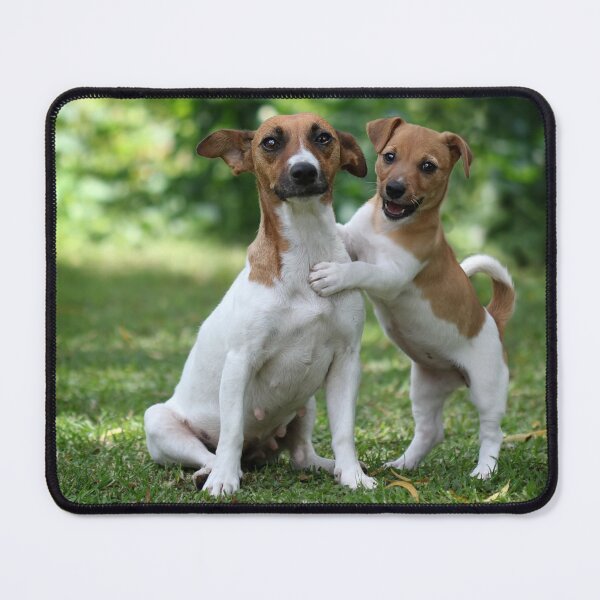Item preview, Something to make you smile  designed and sold by micklyn.