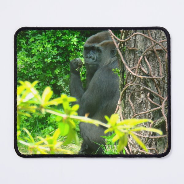 Item preview, Two apes in conspiracy designed and sold by AHELENE.