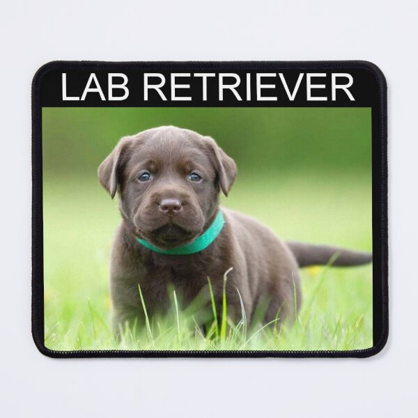 Item preview, LABRADOR RETRIEVER designed and sold by michaeltodd.